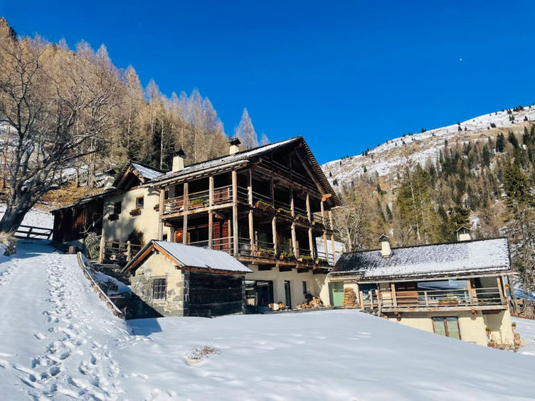 IMG_8218 (Medium).jpeg