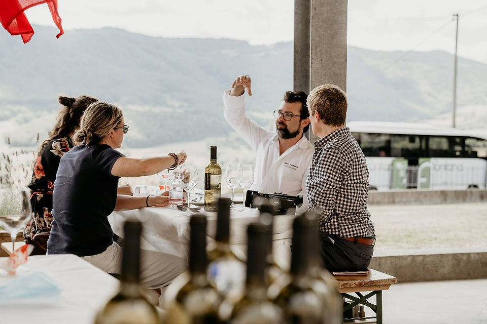 I love my gusts. culinary tours of Italy The Italian  Elixir