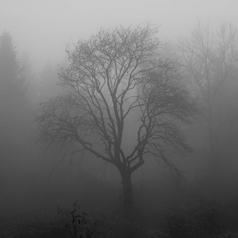 Depressão na Doença de Parkinson