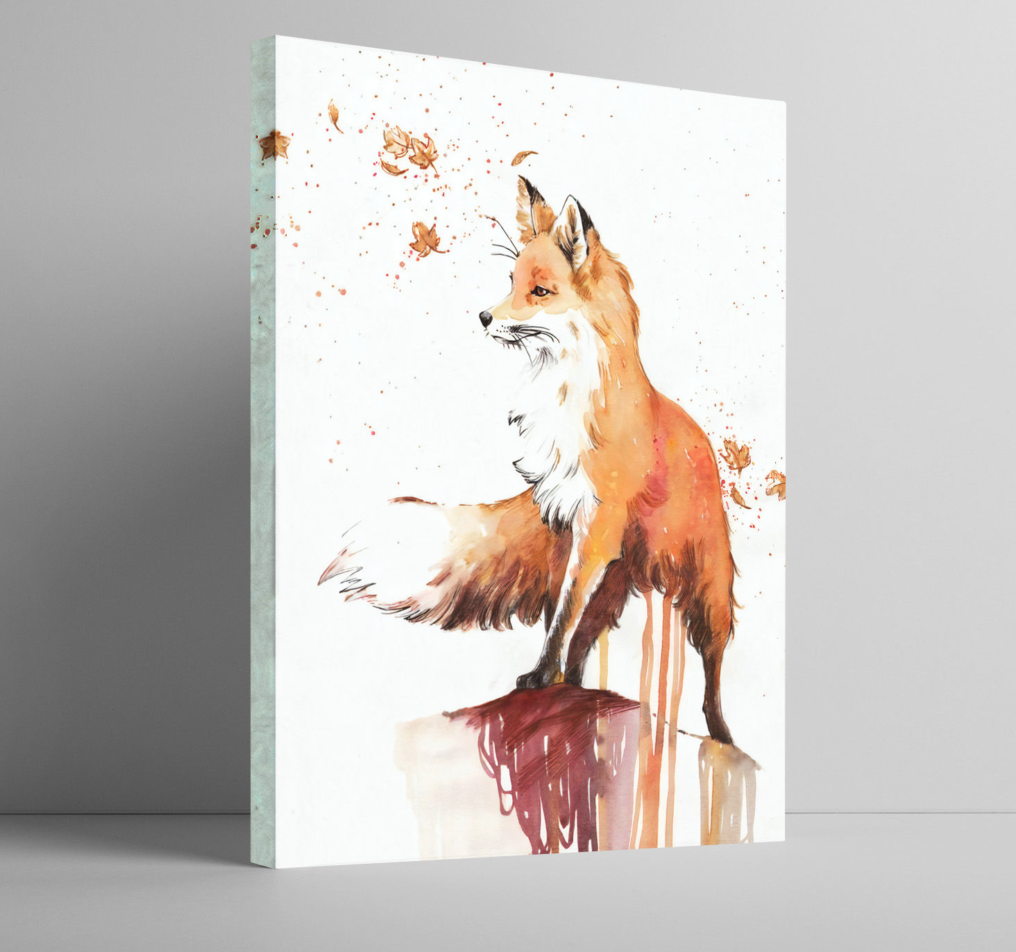 Red fox