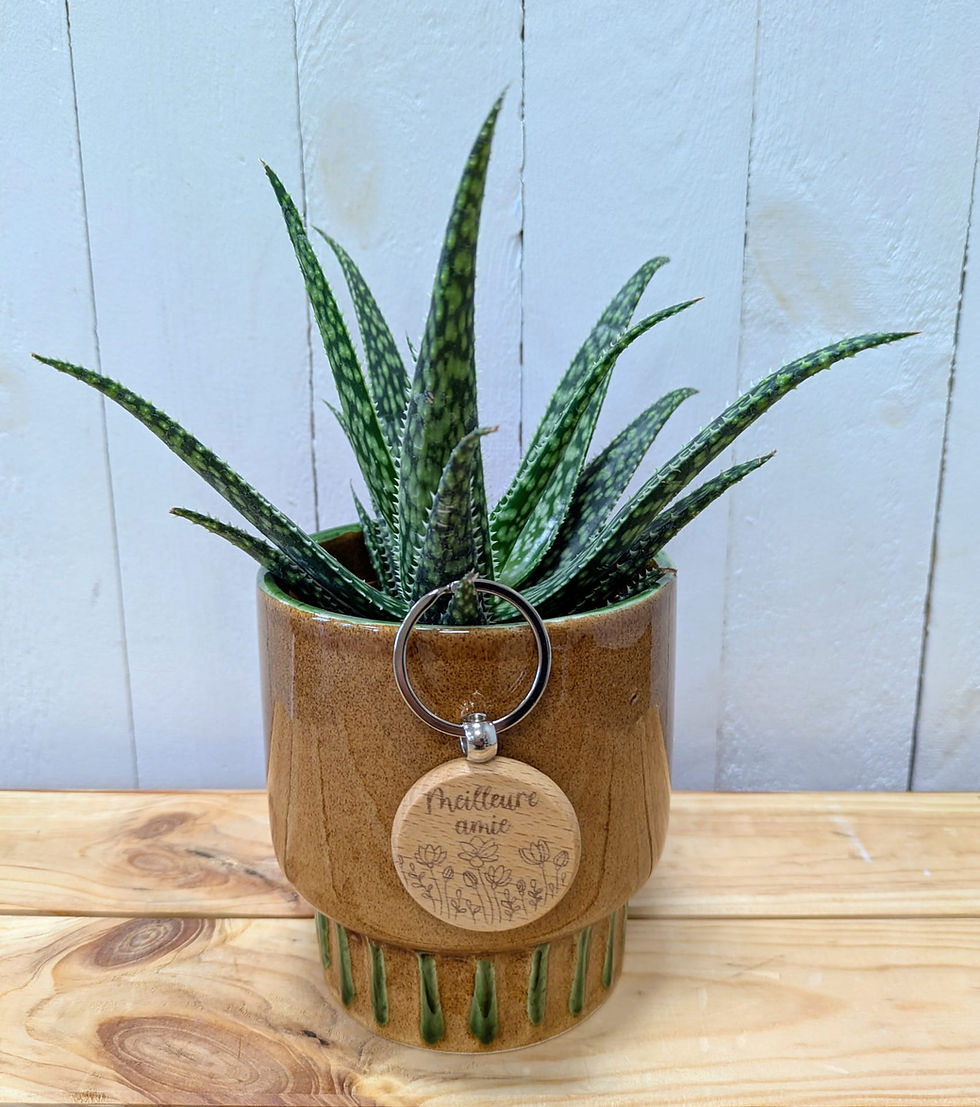 Porte clés: Meilleure Amie