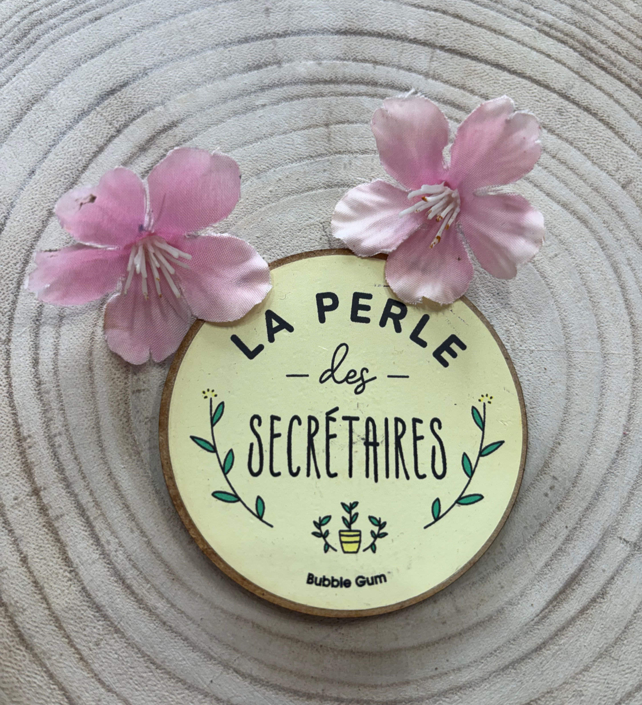 Magnet:La perle des secrétaires