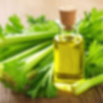 Celery oil (11%)