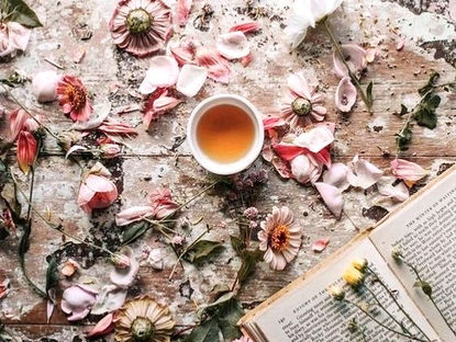 CHANGING OF THE SEASONS