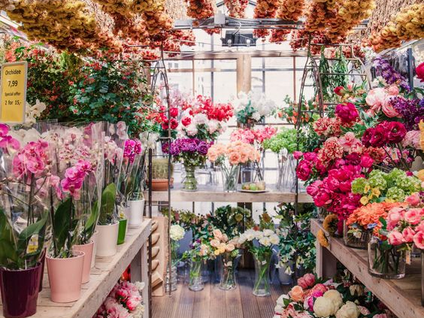 RISING TO THE OCCASION