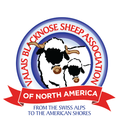 Valais Blacknose Sheep Association of North America