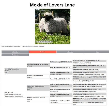 Moxie Pedigree.png