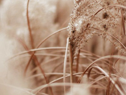 LET THIS SEASON TR.END