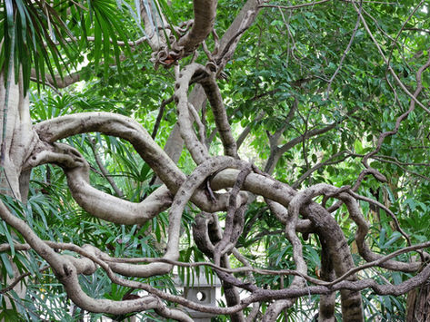 Week 4 / Optimization & Layout