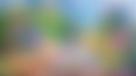 New Pokémon Snap riceve un aggiornamento prima del lancio di venerdì