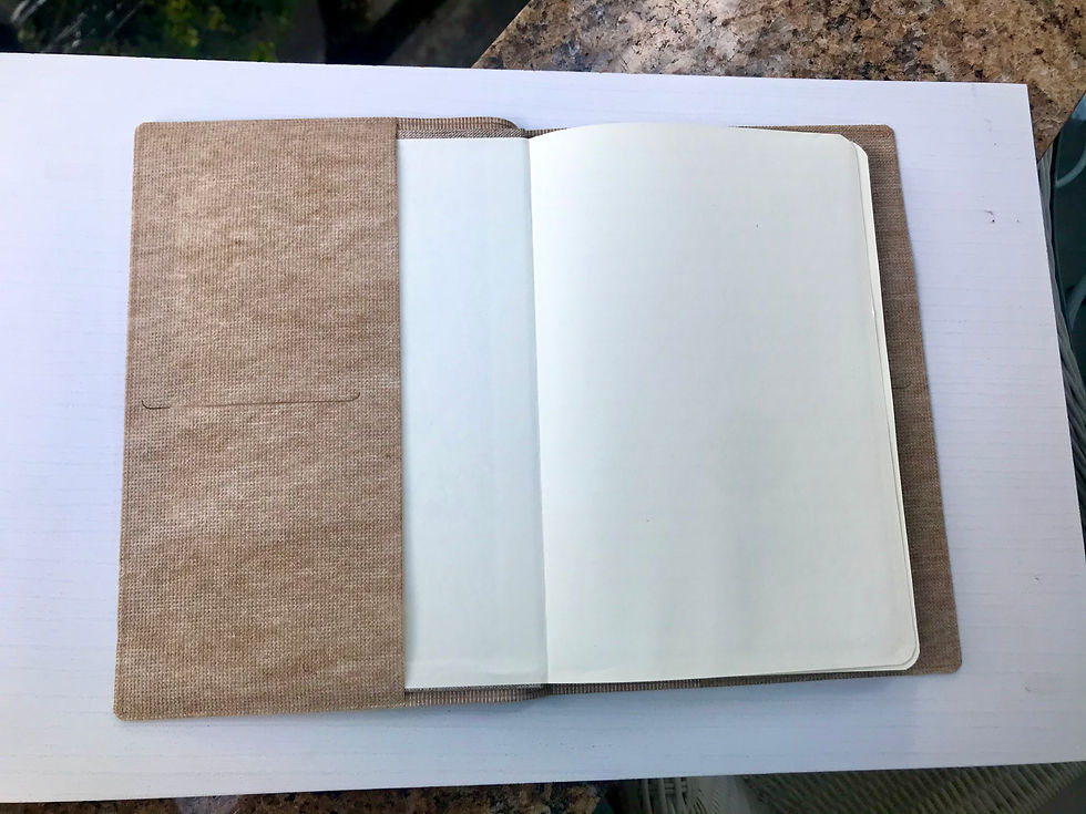 Miniatura: Capa para caderno ou para carteira de vacinação