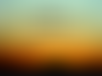 除了感謝~還是感謝~🙏