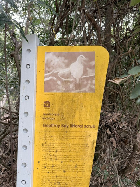 sign showing information about Geoffrey Bay littoral scrub