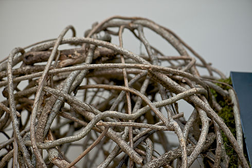 Twig Ball Detail.jpeg