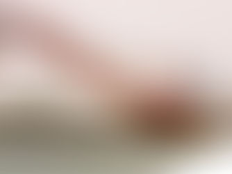 A large red crane mounted on a barge floats on a body of water, positioned near a shoreline with trees and buildings in the background. The crane’s boom extends outward, with its hook hanging over the water. An American flag flies atop the vessel’s control tower. The HoistCam logo appears in the bottom right corner of the image.