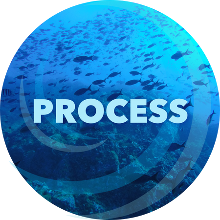 4 - SeaCycle Process.png