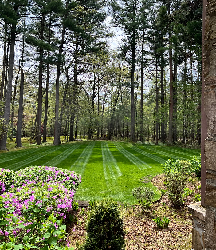 Home Xscape Landscape Woonsocket Lawn Care