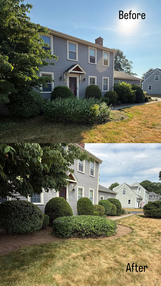 Shrub & Hedge Trimming Service in Blackstone, MA