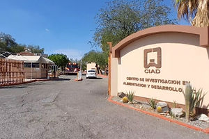 Entrada 1 CIAD.jpg