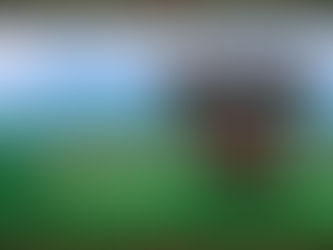 Orchard Odyssey: Cherry Chase - Walkthrough | Trophy Guide | Achievement Guide