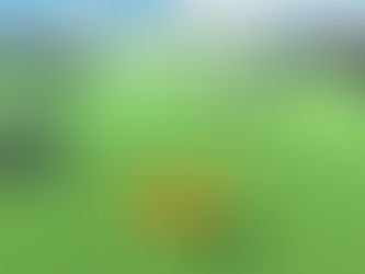 The Colorful Biplane - Walkthrough | Trophy Guide | Achievement Guide