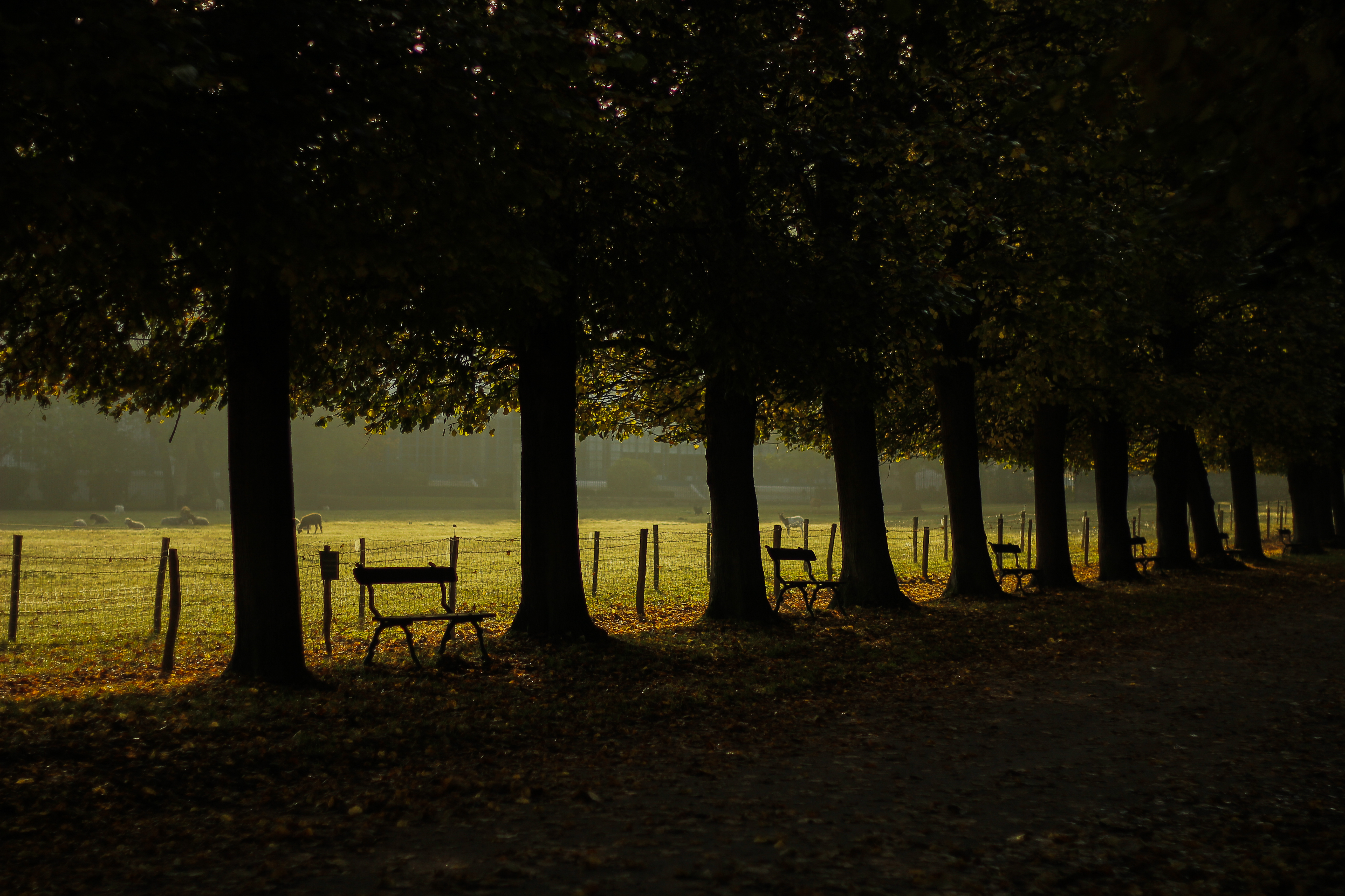 Domaine de Marie-Antoinette
