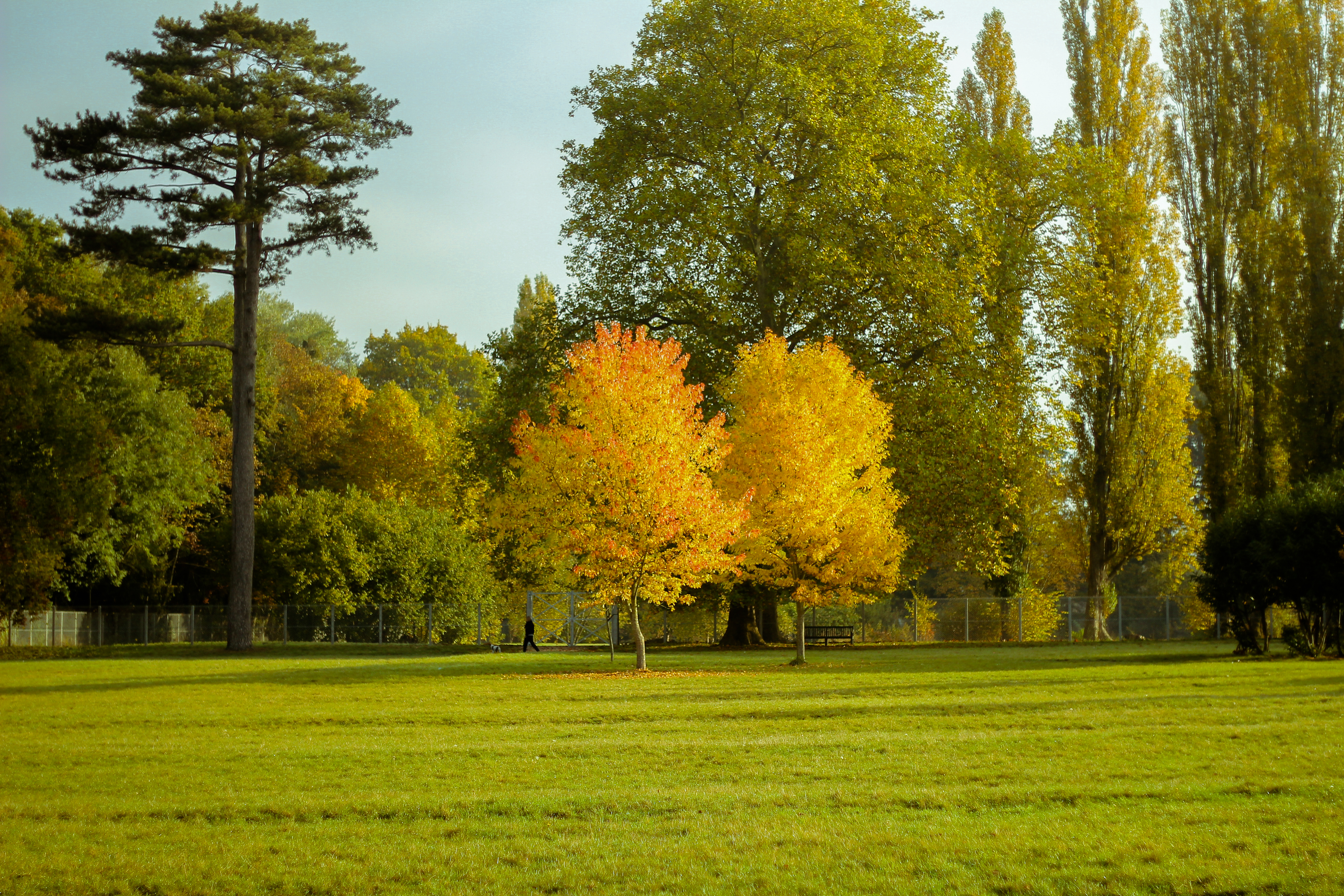Campagne d'automne