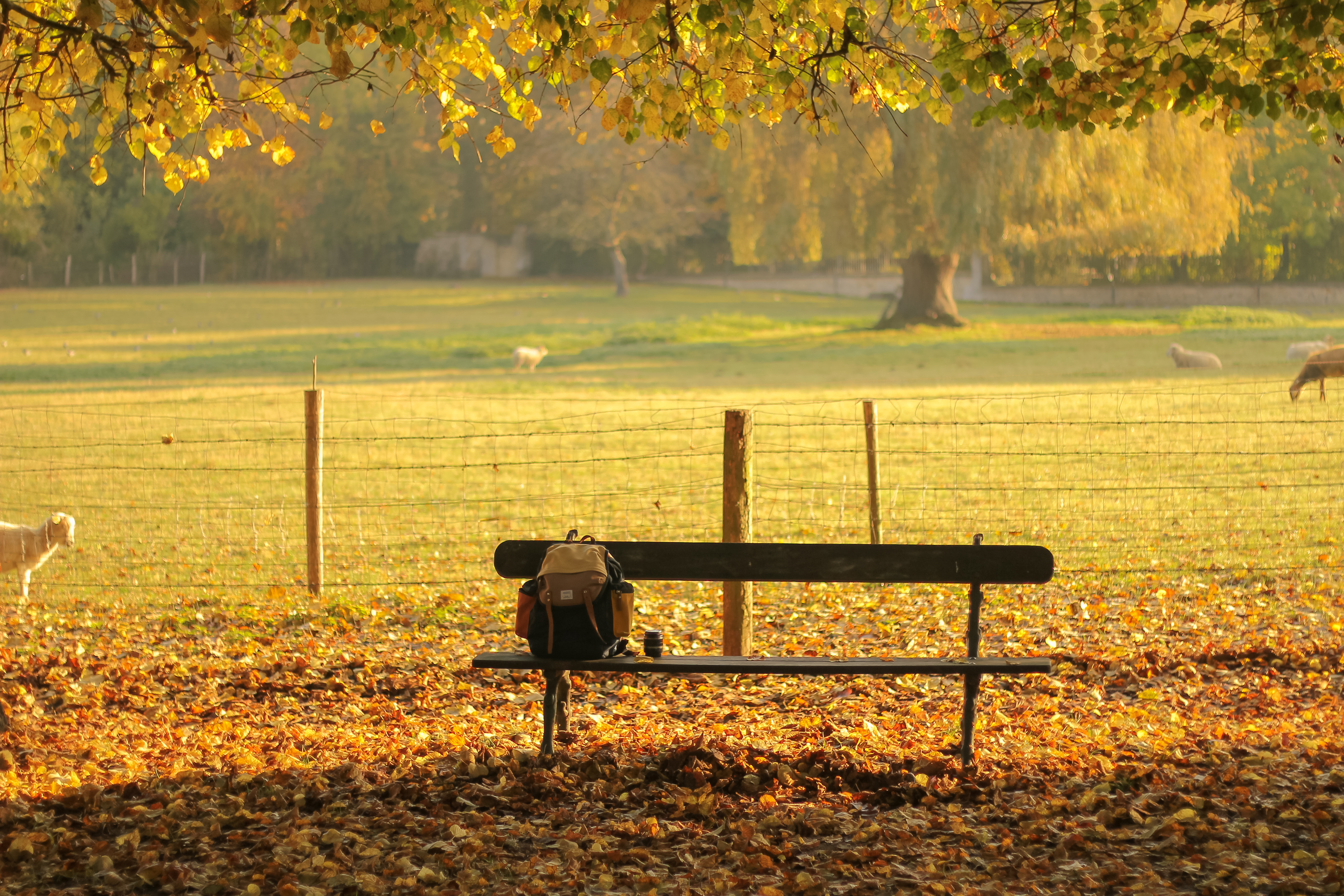 Banc de travail