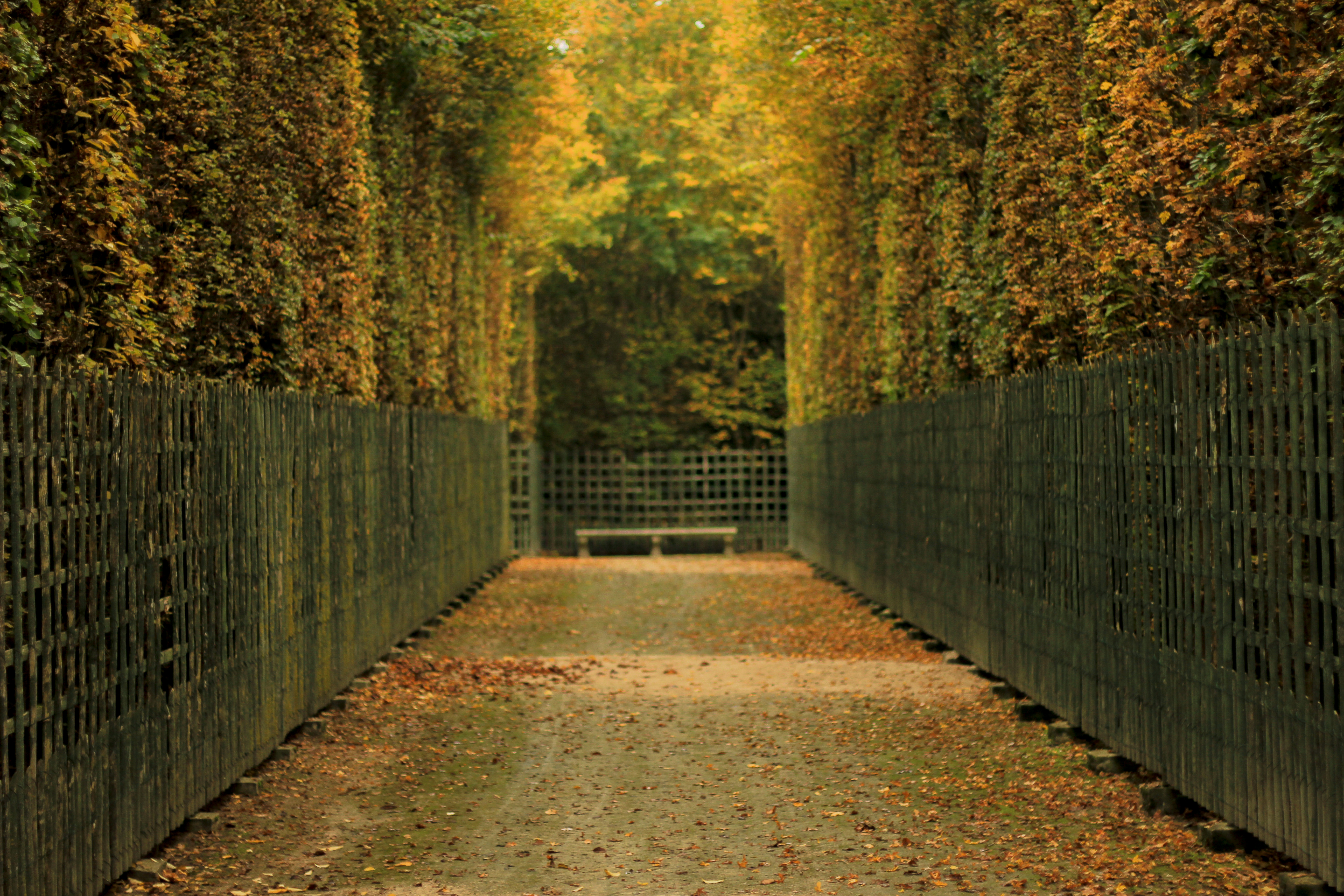 Chemin