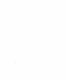 F-Ivory-White.png