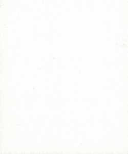 C-White-Linen.png