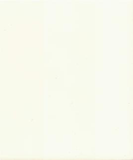 D-Matt-white.png