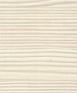 C-White-Birch.png