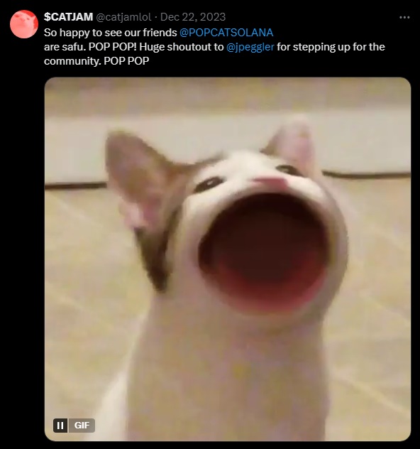 catjam_popcat.jpg