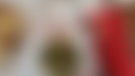 J’ai testé le Bouillon du Capitole à Toulouse