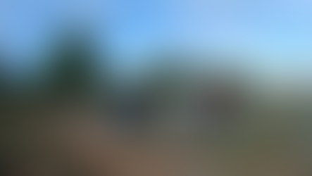 J'ai participé à un chantier participatif sur l'île de Ré 