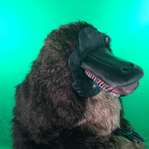 Me performing as Penelope.