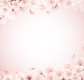 桜枠202602.jpg