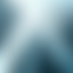 Estratégias de Negócios para o Sucesso Empresarial