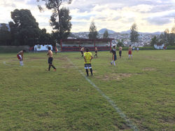 Entrenamiento de la semana 24