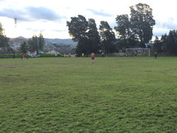Entrenamiento de la semana 14
