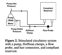fig2bloodpumps.png