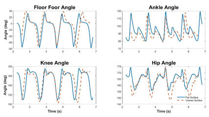 Gait Lab