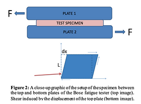 Screen Shot 2022-12-31 at 6.59.49 PM.png