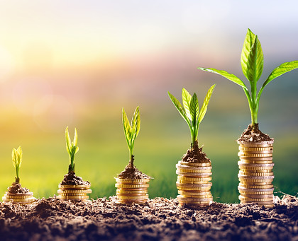 "return on marketing investment" "ROMI"