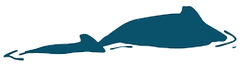 Brand Board Khmer Ocean Life_edited_edit