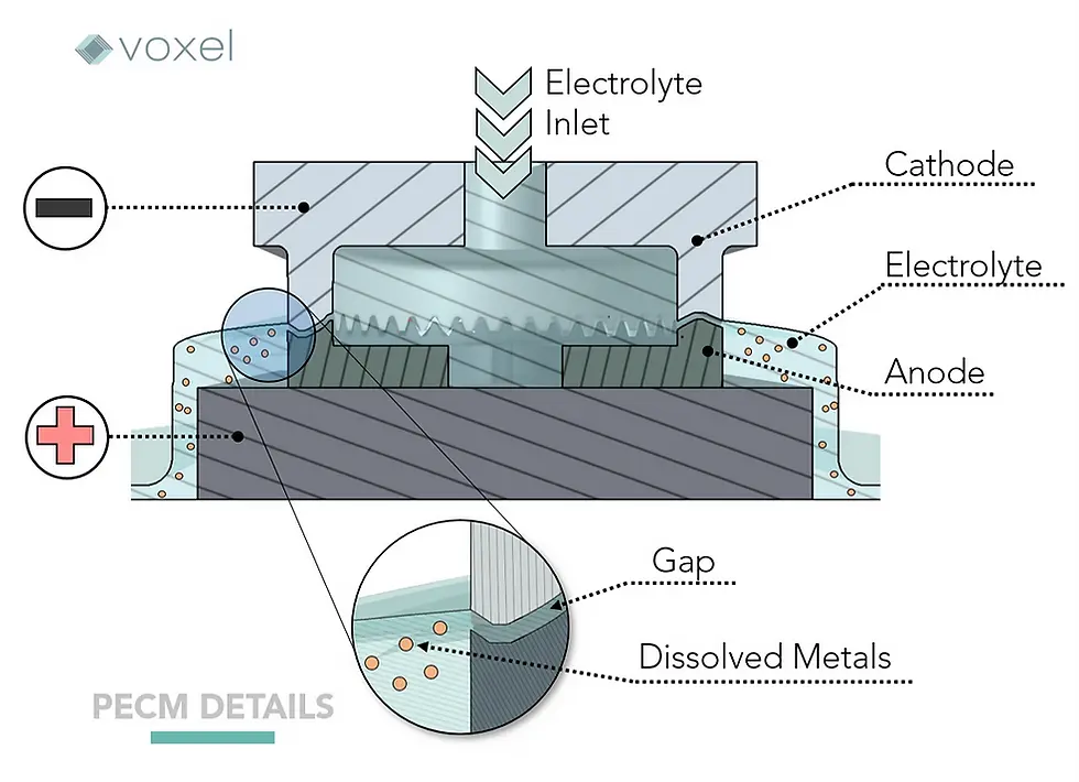 Graphic of ECM at the molecular level