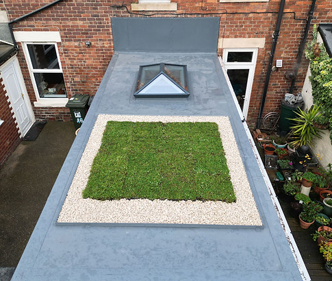 New flat roof