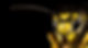 head of wasp in extreme close up with black background