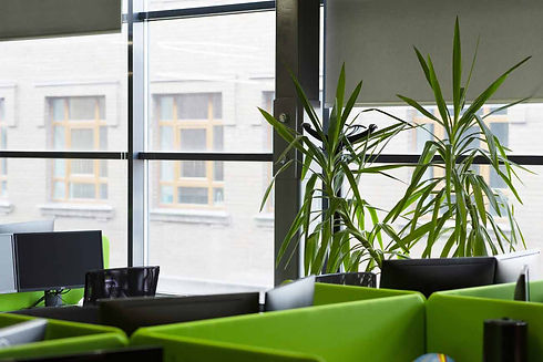 Commercial seating area with black and green seating and large window